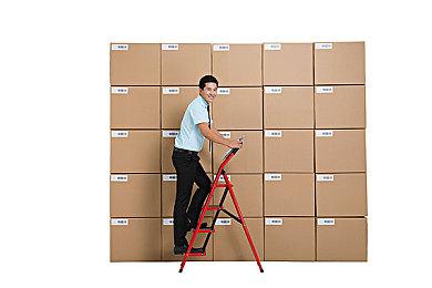 《奇迹时代4》公布“原始狂怒”DLC发售日预告 2月28日发售